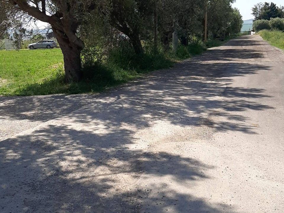 Tomt i Mosciano Sant'Angelo, Teramo - bilde 5