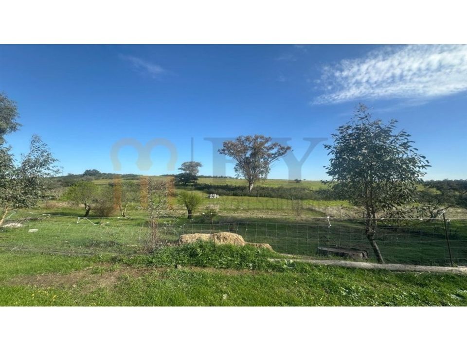 Terra a Castro Verde, Beja - foto 2