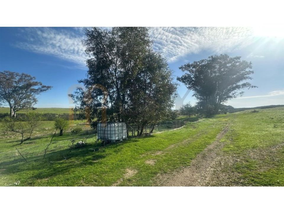 Terra a Castro Verde, Beja - foto 4