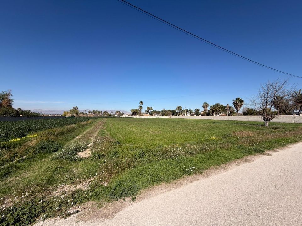 Helårsgrund i Catral, Alicante - foto 2