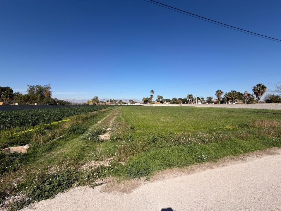 Helårsgrund i Catral, Alicante - foto 4