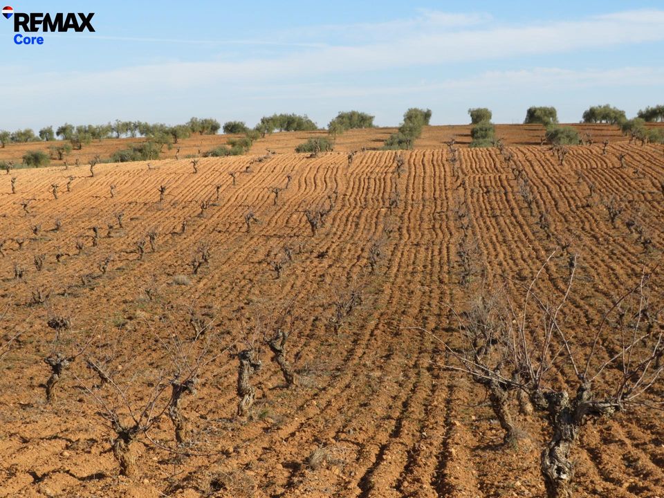 Helårsgrund i Alange, Badajoz - foto 2