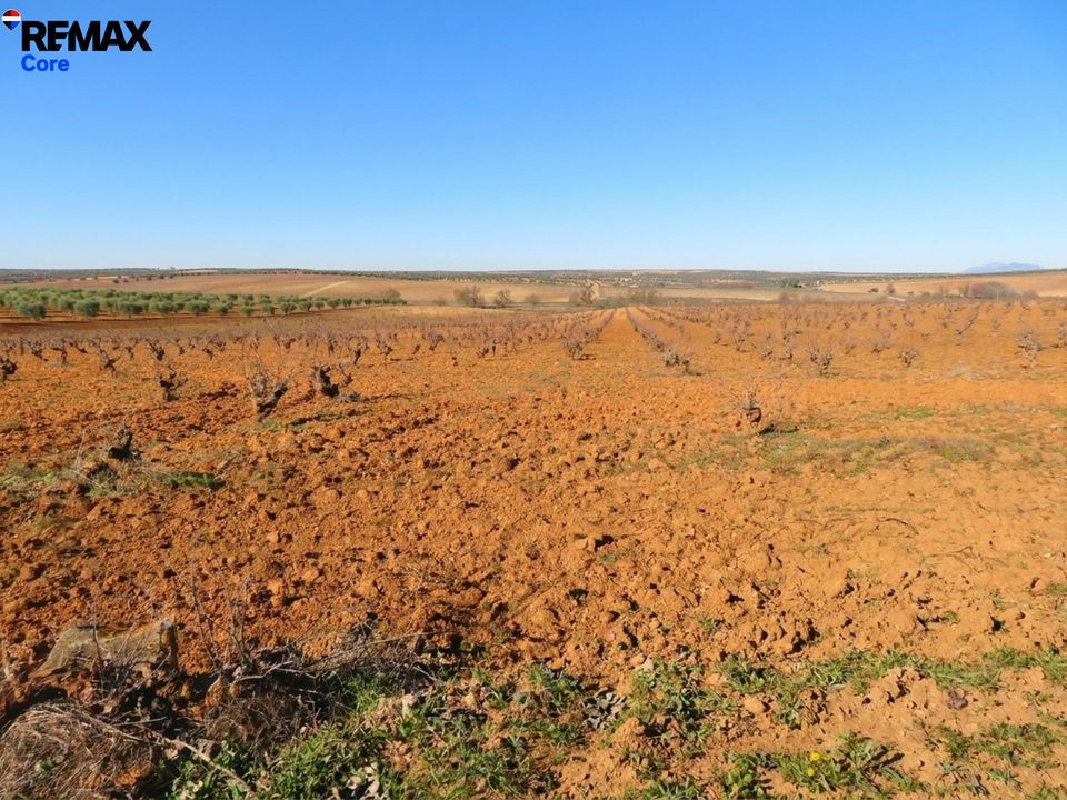 Helårsgrund i Alange, Badajoz - foto 3