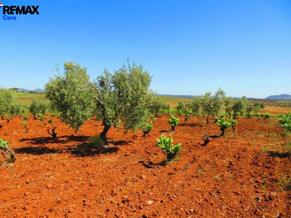 Helårsgrund i Alange, Badajoz - foto 4