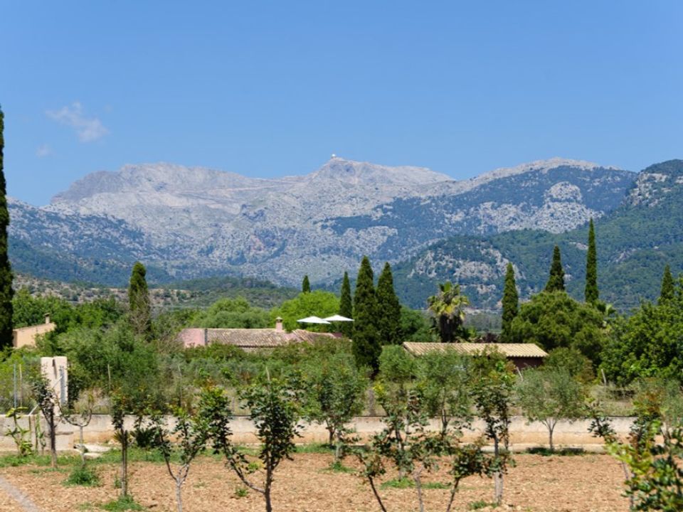 Landejendom i Binissalem, Mallorca - foto 3