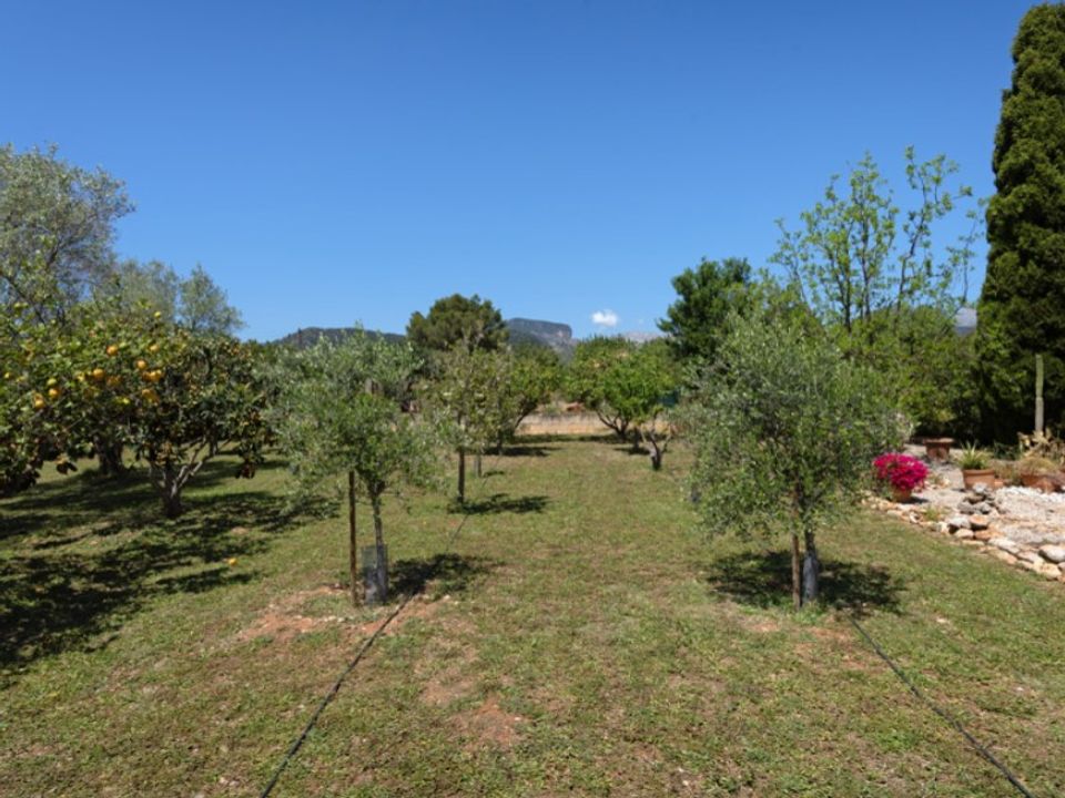 Landejendom i Binissalem, Mallorca - foto 4