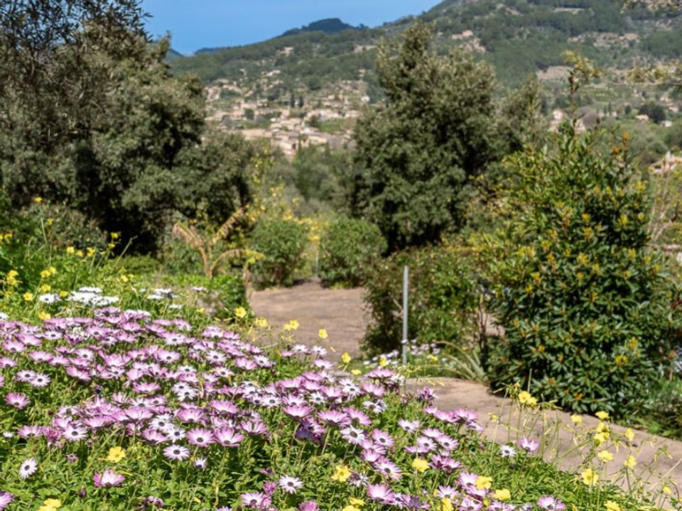 Landejendom i Soller, Mallorca - foto 2