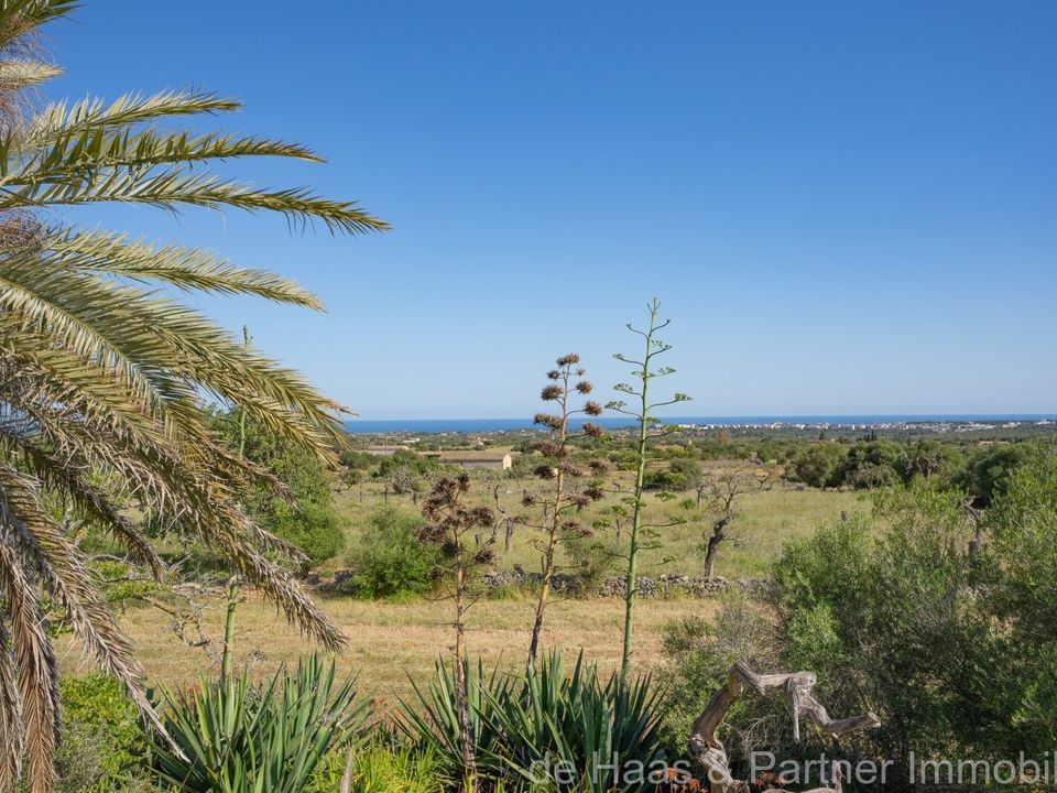 Finca i Son Carrio, Mallorca - foto 2