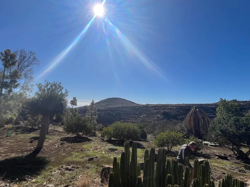 Herregård i Ingenio, Gran Canaria - bilde 3