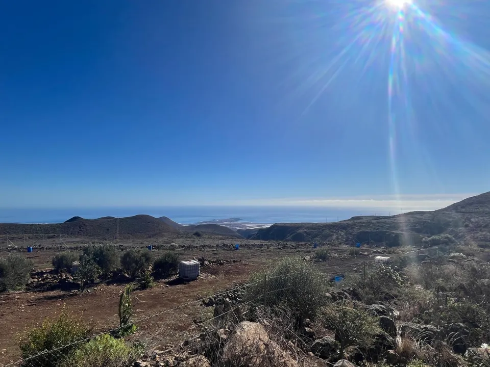 Herregård i Ingenio, Gran Canaria - bilde 5