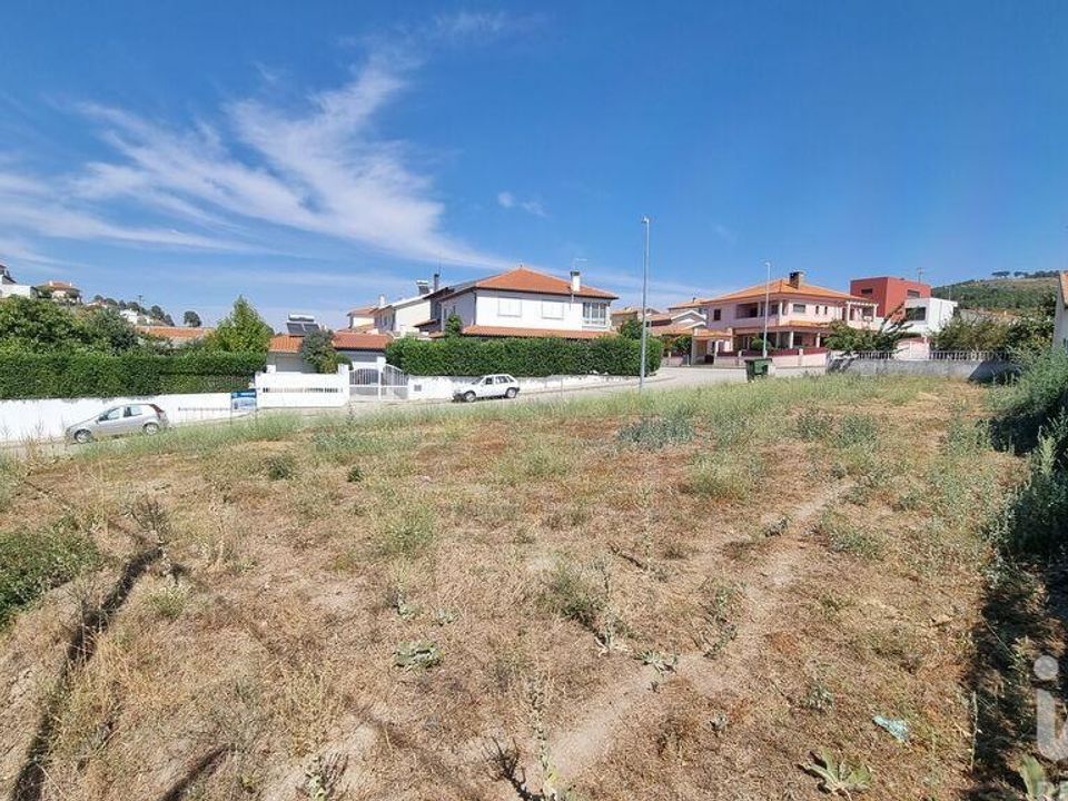 Helårsgrund i Celorico da Beira, Guarda - foto 4