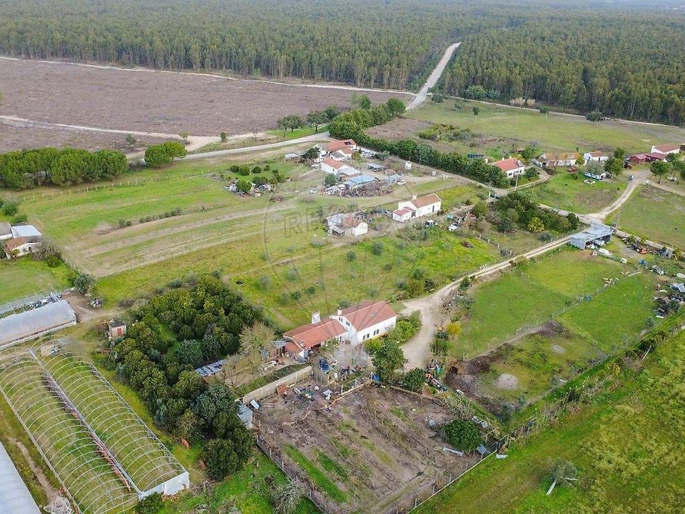 Farm hus i Coruche, Santarem - foto 1