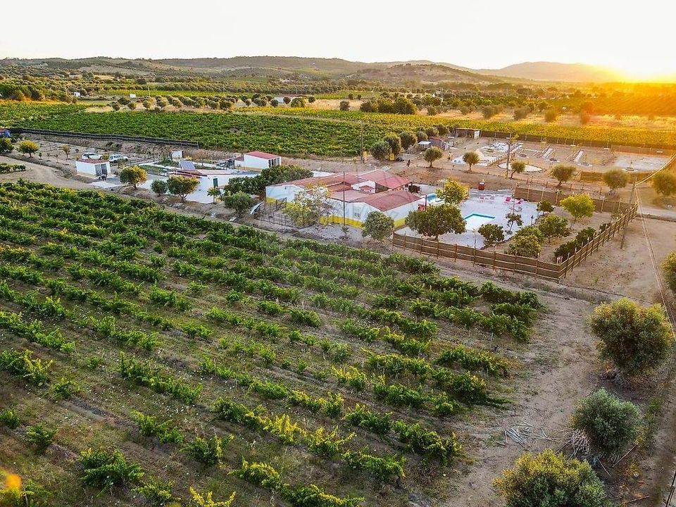 Farm hus i Vidigueira, Beja - foto 1