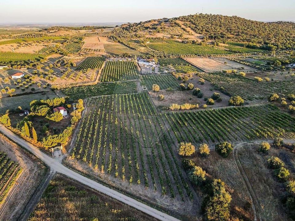 Farm hus i Vidigueira, Beja - foto 2
