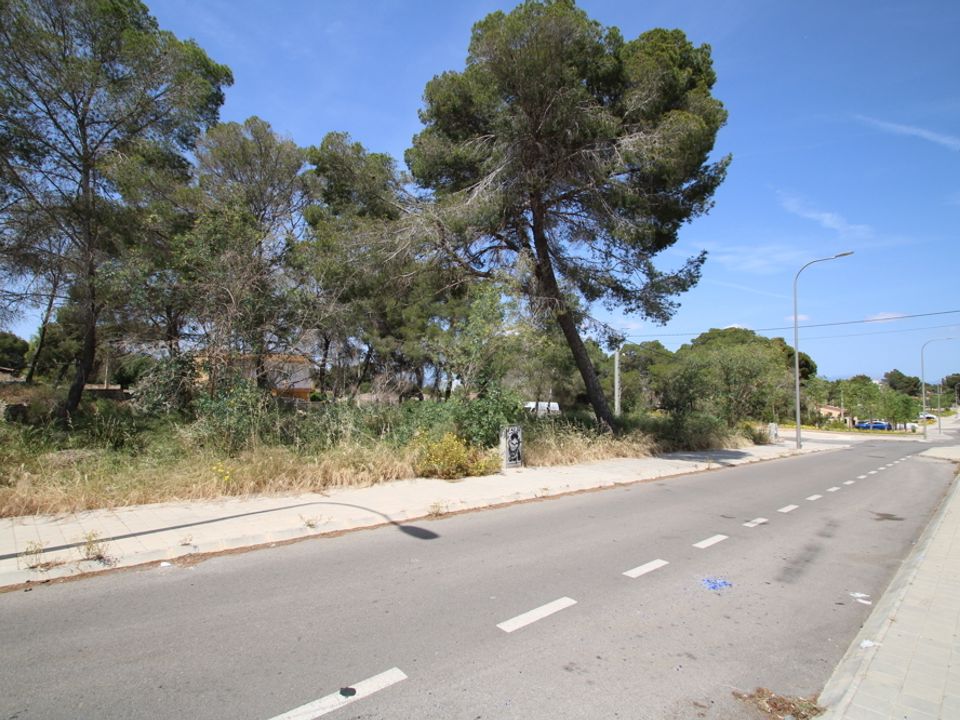 Helårsgrund i L'Arenal, Mallorca - foto 1