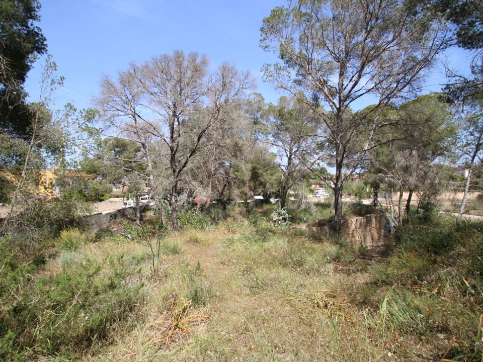 Helårsgrund i L'Arenal, Mallorca - foto 3