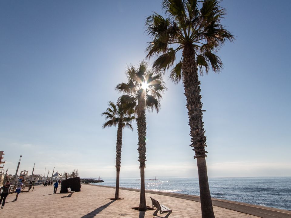 Villa i Palma De Mallorca, Mallorca - foto 1