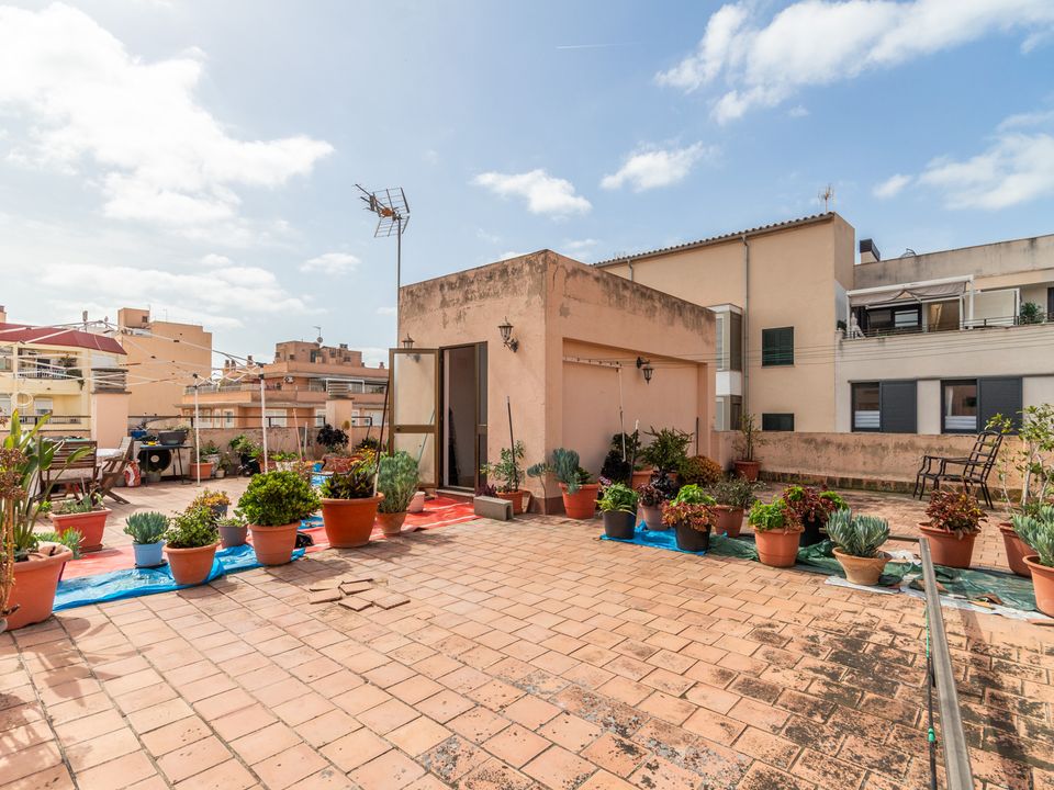 Villa i Palma De Mallorca, Mallorca - foto 2