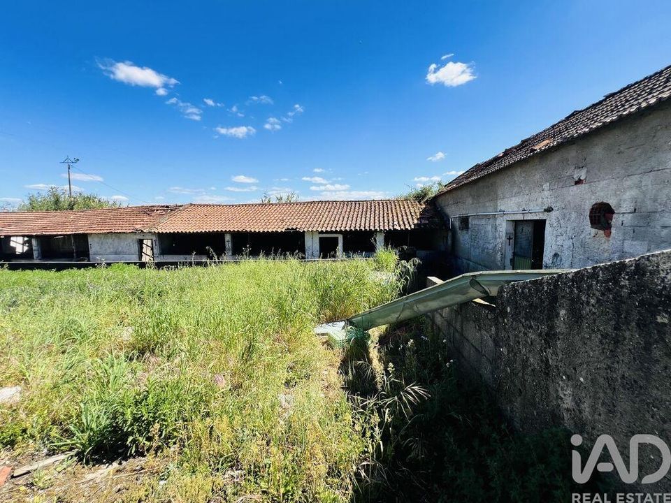 Byhus i Ourem, Santarem - foto 4