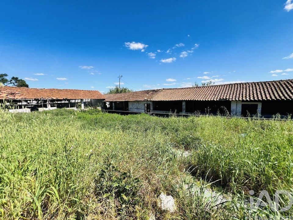 Byhus i Ourem, Santarem - foto 5