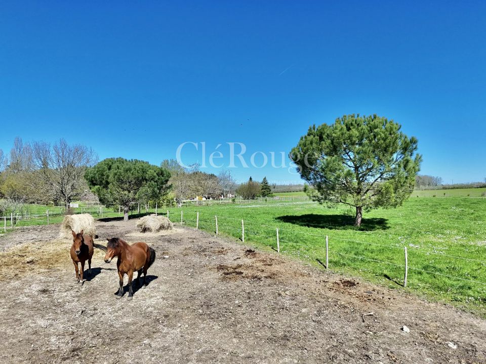 Villa i Duras, Lot-et-Garonne - foto 3