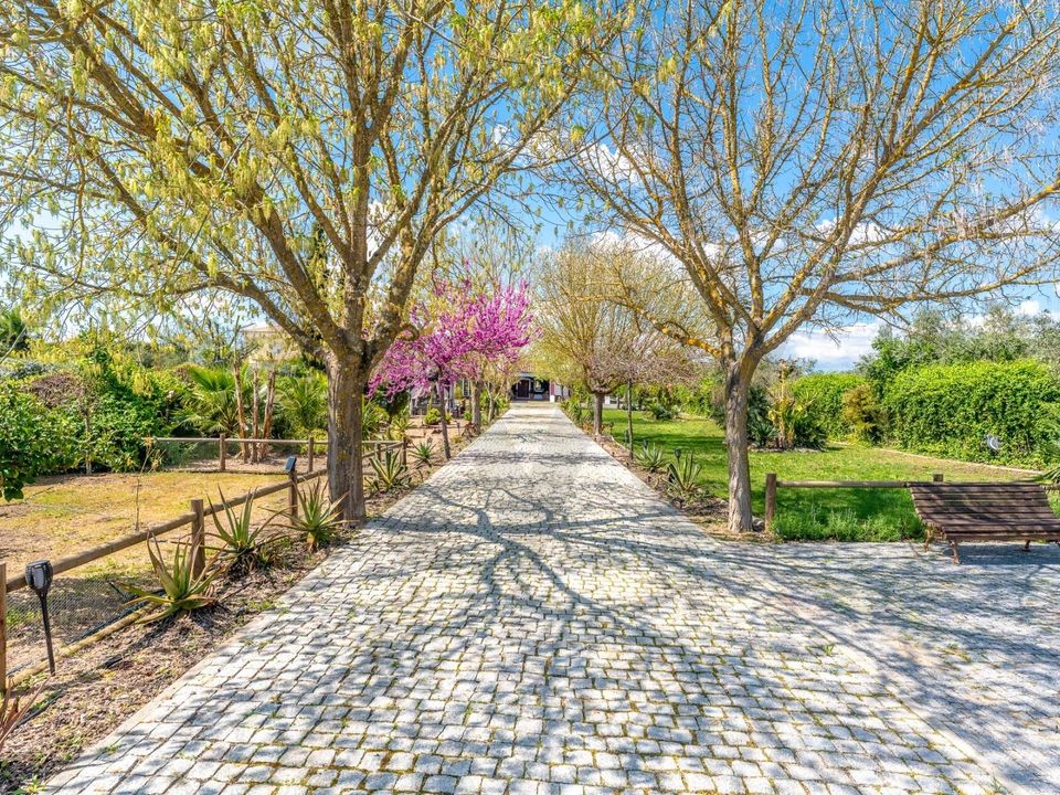 Farm i Reguengos de Monsaraz, Evora - foto 4