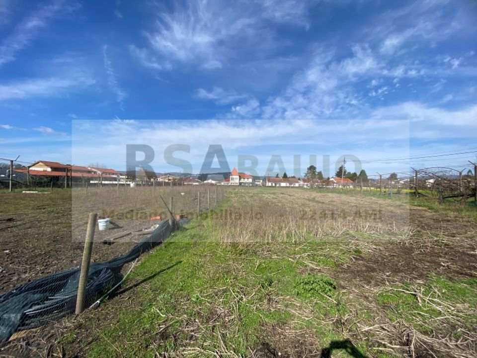 Terra a Braga, Braga - foto 1