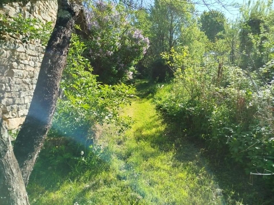 Landejendom i La Villedieu-en-Fontenette, Haute-Saone - foto 3