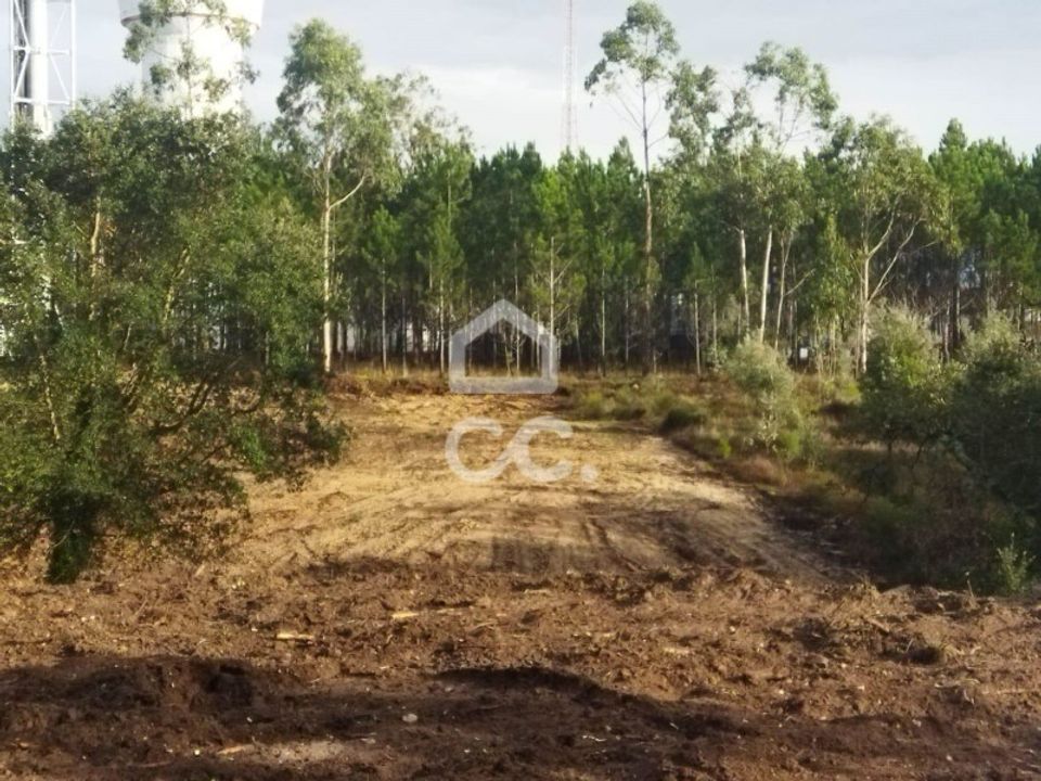 Terreno en Monte Real, Leiria - foto 1