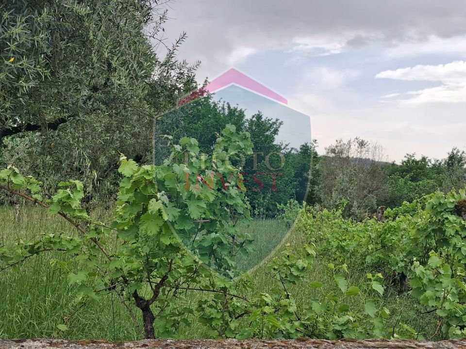 Helårsgrund i Viseu, Viseu - foto 3