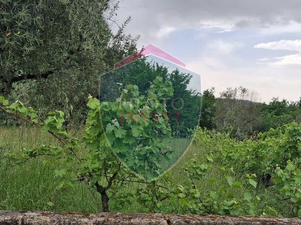 Helårsgrund i Viseu, Viseu - foto 1