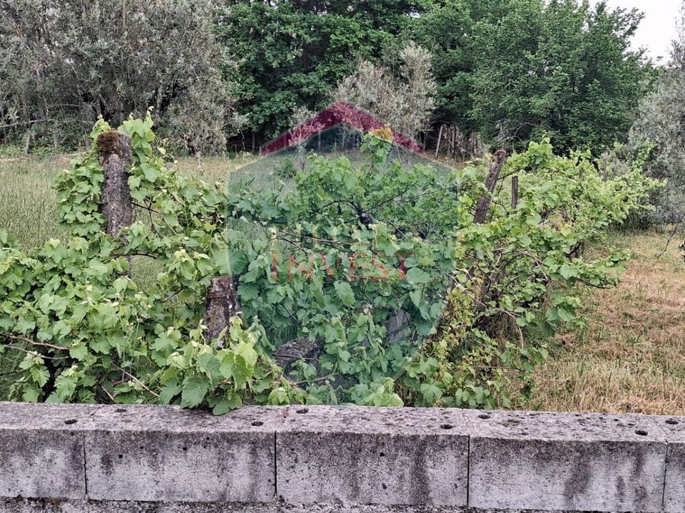 Helårsgrund i Viseu, Viseu - foto 2