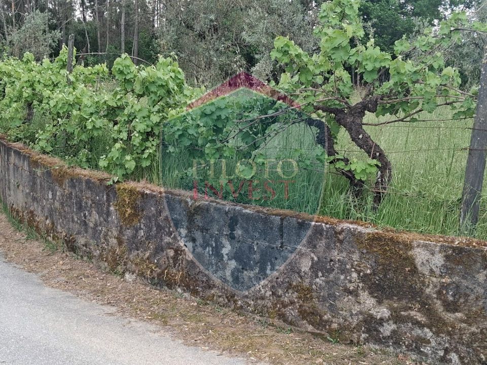 Helårsgrund i Viseu, Viseu - foto 5