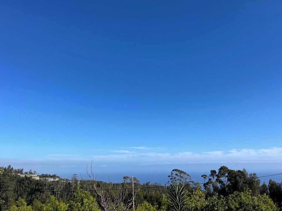 Helårsgrund i Arco da Calheta, Madeira - foto 4