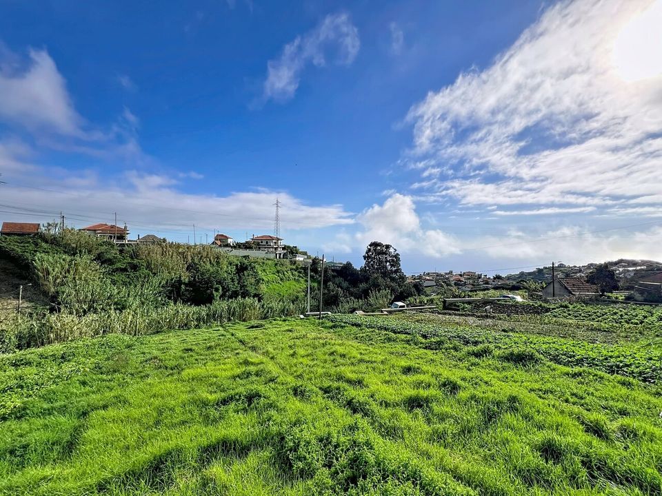 Helårsgrund i Ponta do Sol, Madeira - foto 2