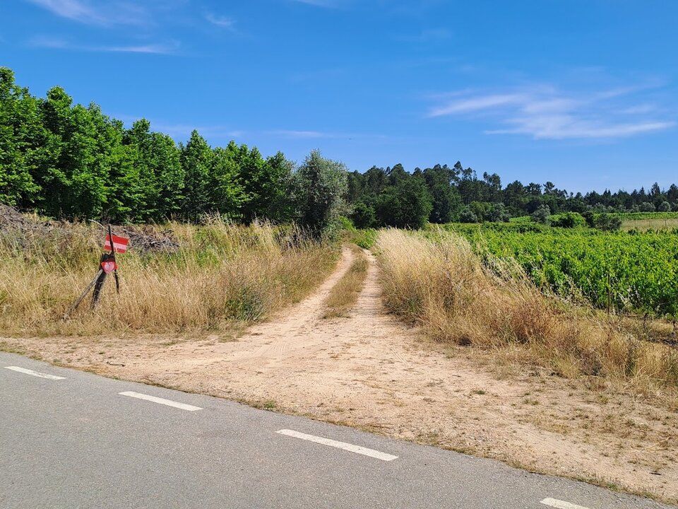 Grond in Anadia, Aveiro - foto 3