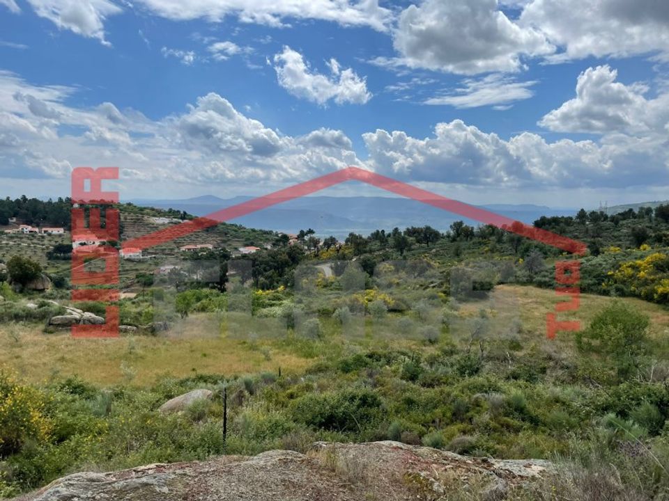 Helårsgrund i Vila Flor, Braganca - foto 4