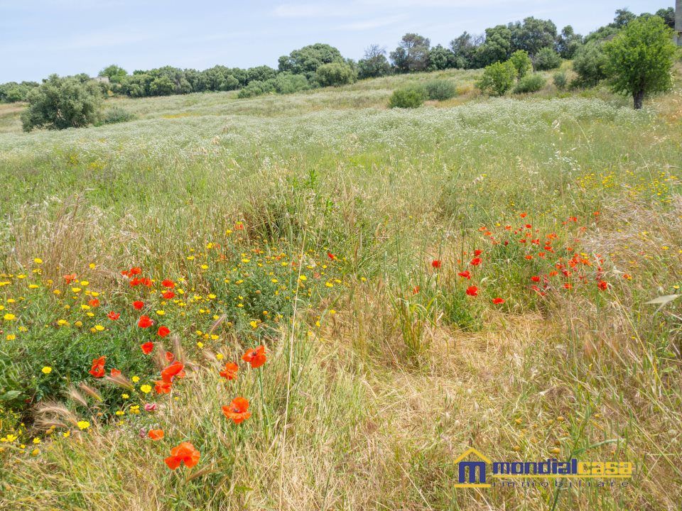 Helårsgrund i Pachino, Siracusa - foto 2