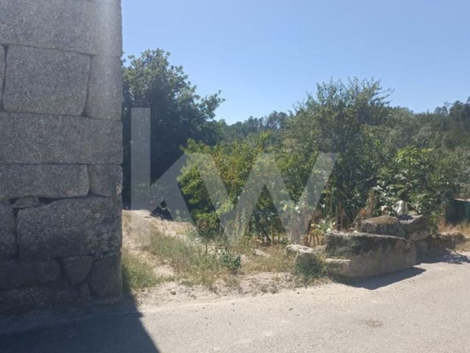 Helårsgrund i Pindelo dos Milagres, Viseu - foto 3