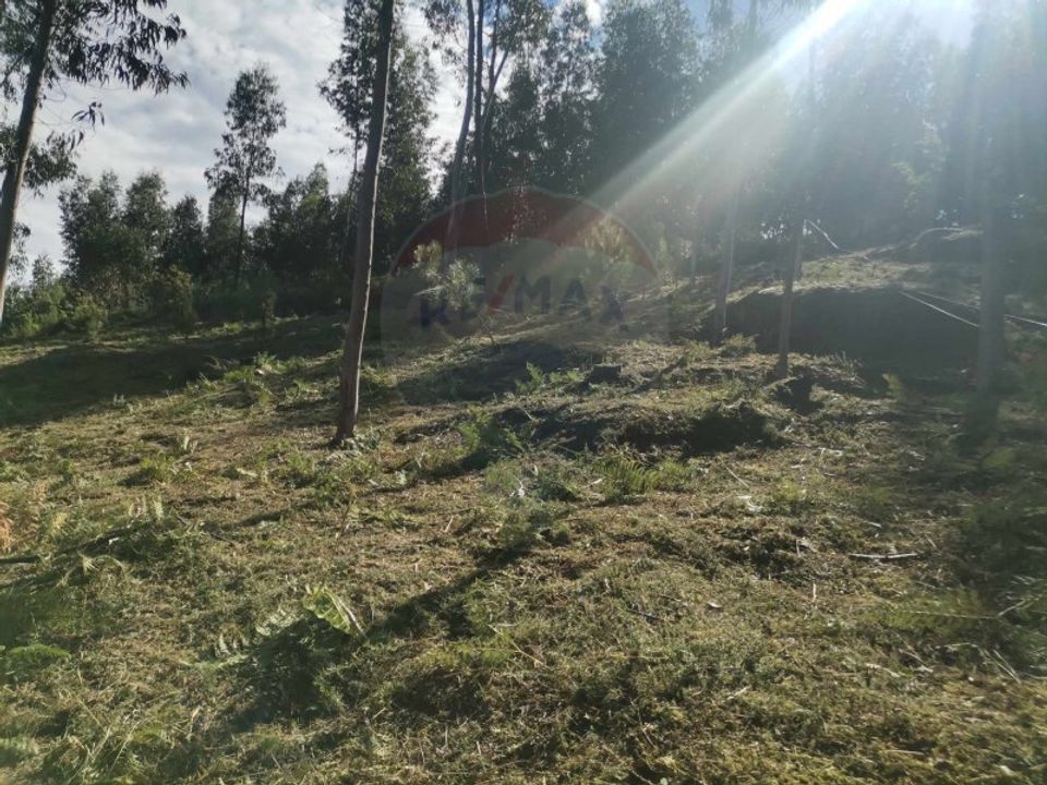Helårsgrund i Amares, Braga - foto 2
