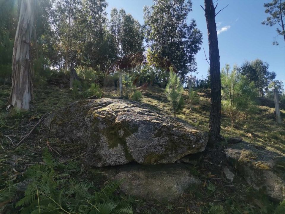 Helårsgrund i Amares, Braga - foto 3