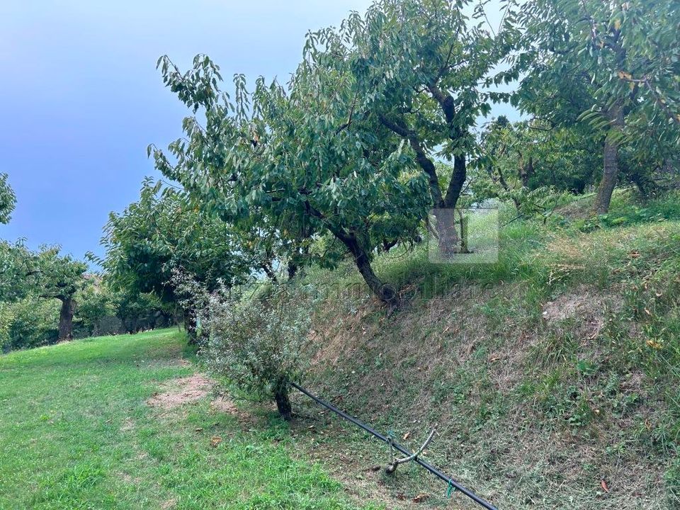 Erhvervsejendom i Castegnero, Vicenza - foto 3