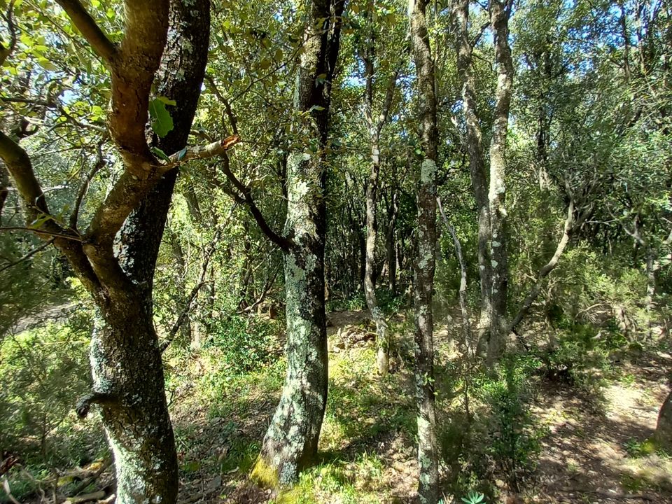 Helårsgrund i Vieussan, Herault - foto 1