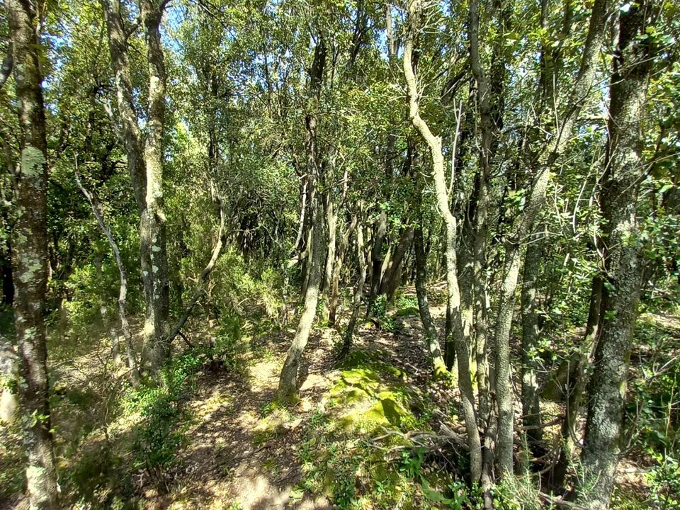 Helårsgrund i Vieussan, Herault - foto 4