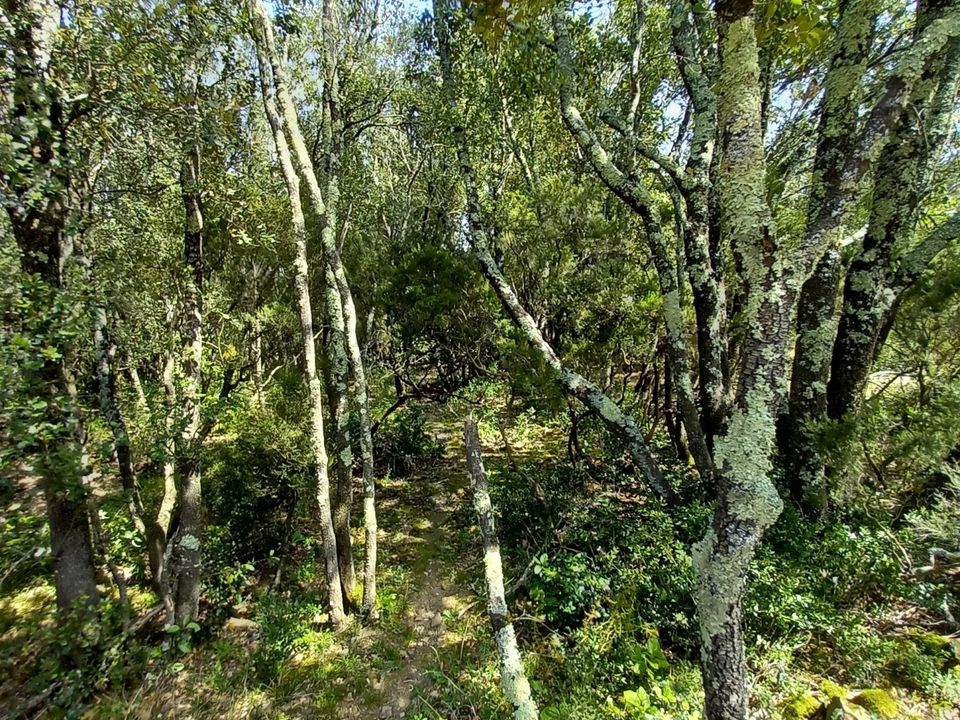 Helårsgrund i Vieussan, Herault - foto 5