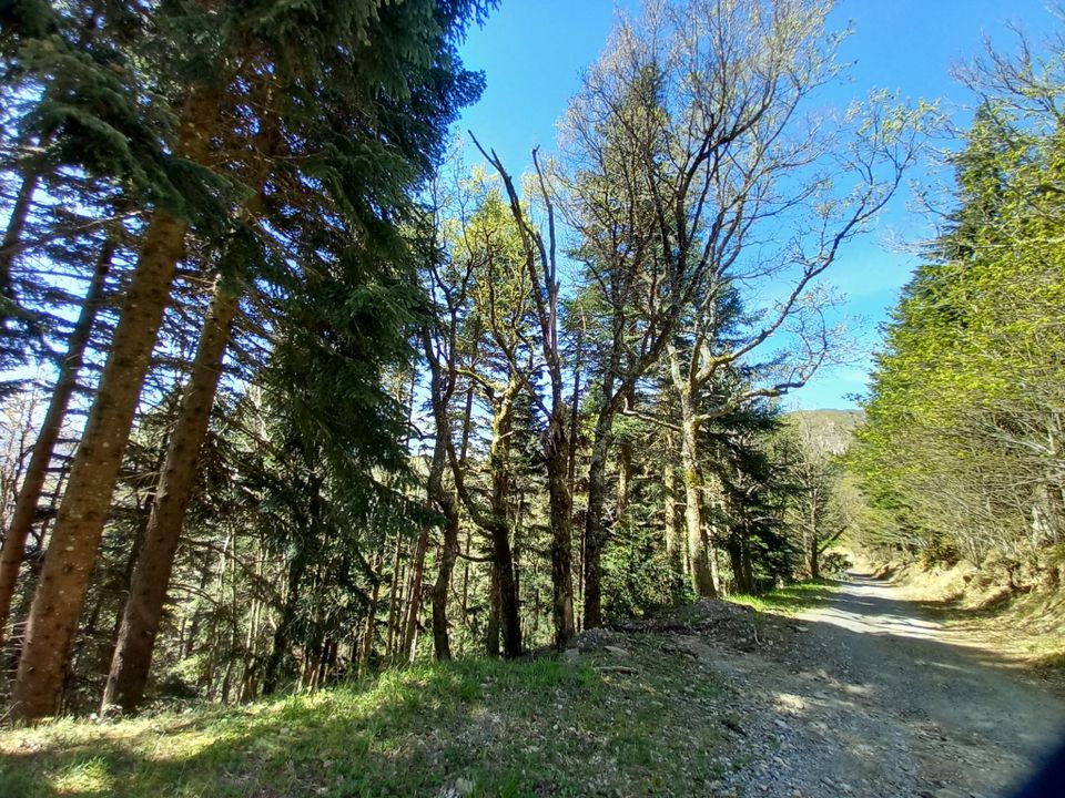 Helårsgrund i Vieussan, Herault - foto 2