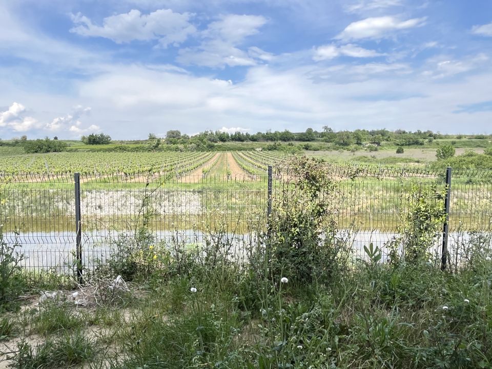 Villa i Montagnac, Herault - foto 4