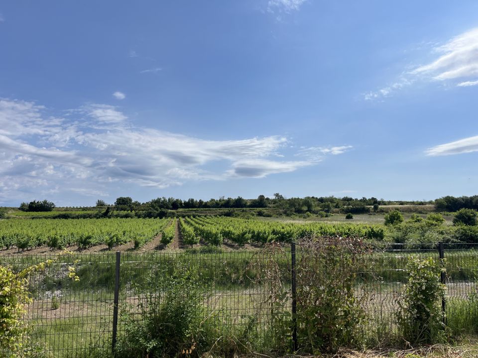 Villa i Pezenas, Herault - foto 2