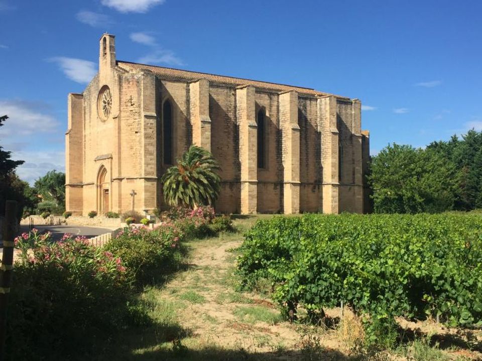Helårsgrund i Loupian, Herault - foto 3