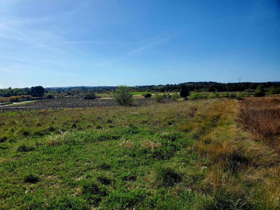 Helårsgrund i Loupian, Herault - foto 4